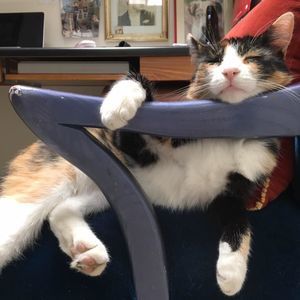 Meet your Posher, April